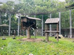 -上海野生动物园