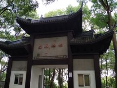 -上海佘山国家森林公园东门地面停车场