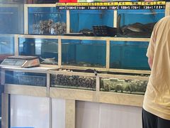 -泰白海鲜烧烤大全