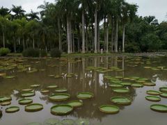 -湄公河秘制烤鱼(西双十贰城商业中心店)