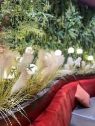 -花隐·美芙炫海菲秀皮肤管理中心