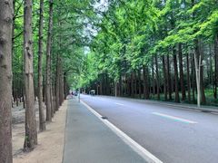 -日照海滨国家森林公园