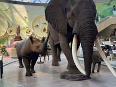 -陕西自然博物馆