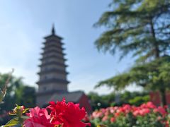 -正定古城-开元寺