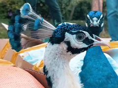 -云南艺术学院(呈贡校区)