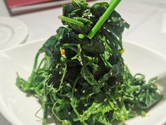 凉拌丝瓜尖-峨嵋酒家总店(车公庄店)
