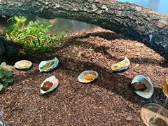 -曲廊院(东四十一条店)