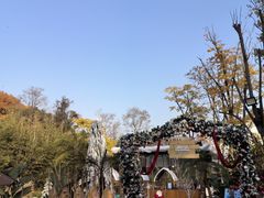 -HERRE·FARM 赫尔露营农场·团建聚会包场