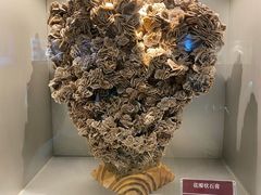 -甘肃地质博物馆