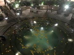 -苏州湾王焰温泉度假酒店