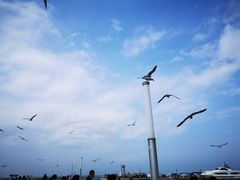 -东港音乐喷泉广场