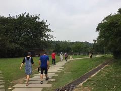 -南国桃园旅游度假区