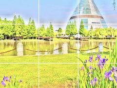 -上海市第一人民医院(松江南部)