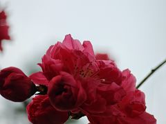 -木塔寺遗址生态公园