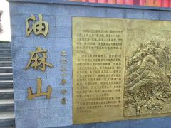 -黄埔油麻山森林公园