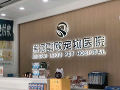-瑞派雷欧宠物医院·24h夜诊·心脏骨科牙科·全科重症转诊中心(无影山店)