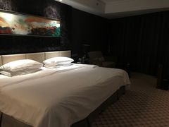 -常州环球恐龙城维景国际大酒店