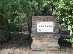 -府君山公园