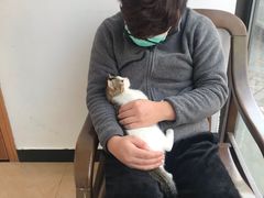 -灵美宠物诊所