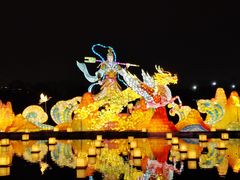 -武汉园博园(武汉自然博物馆)