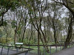 -西湖风景区-江洋畈生态公园