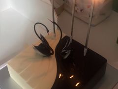 -BLACKSWAN黑天鹅(环球店)