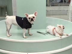 -怪兽屋·羊驼·猫咖·狗咖(俊华广场店)