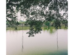 -大湾区中央湿地公园
