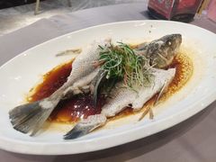 清蒸海曹鱼-东方御宴海鲜酒楼(棕泉酒店)