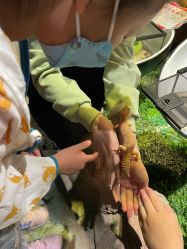 -酷嗒动物文化乐园(cutezoo西溪乐天城店)