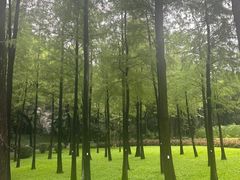 -晓港公园