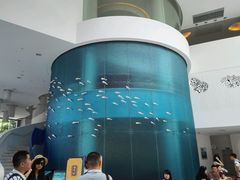 android_upload_pic-深圳东部华侨城瀑布酒店