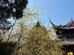 -钱王祠