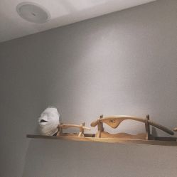 -MC皮肤管理中心