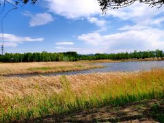 -野鸭湖国家湿地公园