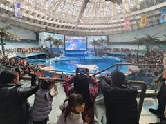 -海合安成都极地海洋公园