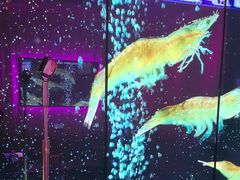 -音乐派KTV(成都印象城店)