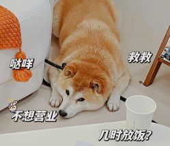 -唯奈斯肌肤管理中心