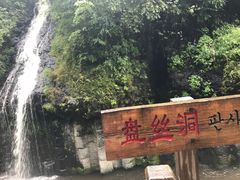 -望天鹅景区