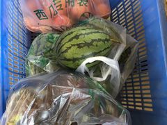 -庞各庄翠芳园西瓜蔬菜基地采摘园