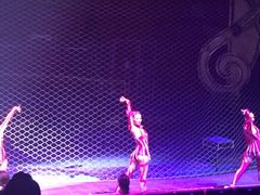 -珠海横琴长隆《卡卡虎奇遇记》