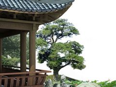 -商丘古城-应天书院