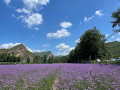 -百里山水画廊