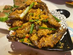 -桥东喜碧海鲜街(水东街店)