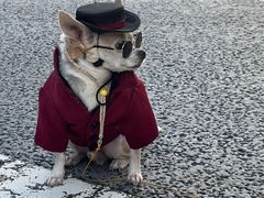 -优衣库(银座店)