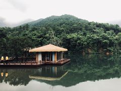 -罗浮山-南楼寺