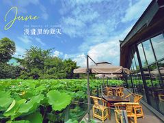 -莫催咖啡