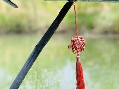 -洛阳市隋唐城遗址植物园