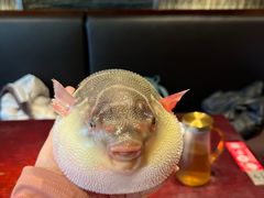 -永安鱼庄·镇江菜(东吴路店)