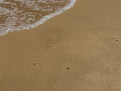 -三亚海棠湾万丽度假酒店